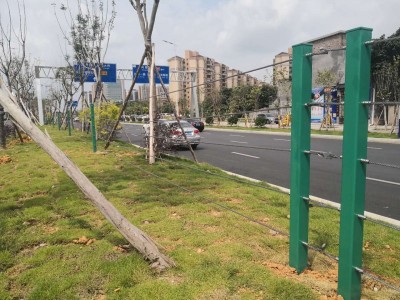 广州钢丝绳隔离栏生产厂家 东莞绿化带隔离栏定做安装价格图1