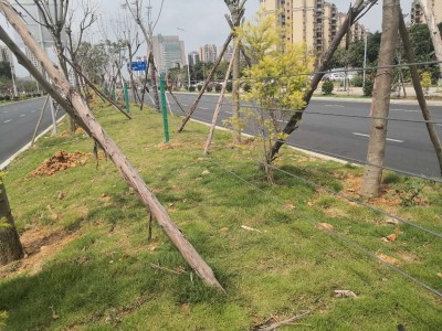 广州钢丝绳隔离栏生产厂家 东莞绿化带隔离栏定做安装价格图3