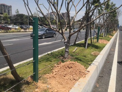 花都绿化带中央钢丝绳护栏价格 广州绿化带隔离栏生产厂家图3