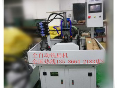 宁波台荣轴类产品铣扁位加工机 全自动双边多边铣边机图3