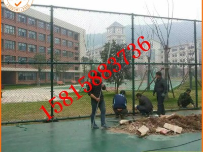 广州球场护栏网定做厂家 球场勾花网围栏现货供应图3