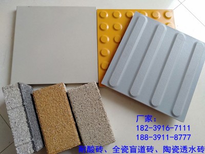 上海黄浦区盲道砖 25020小规格盲道砖L图2