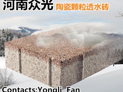 枣庄透水砖厂家 有口碑的透水砖厂家L图2
