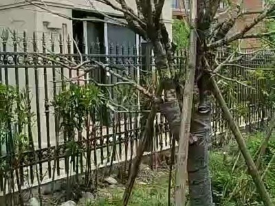 小区铝艺围栏图1