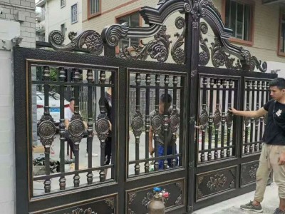 慈溪庭院大门图3