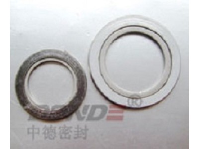ZD-G1200B带内环金属缠绕垫片图1